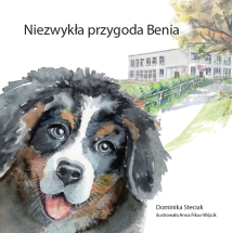 Książka NIEZWYKŁA PPRZYGODA BENIA